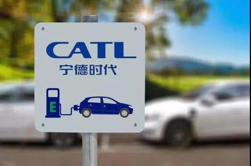 科技財經動態 裁員、投資辟謠與慈善新動向