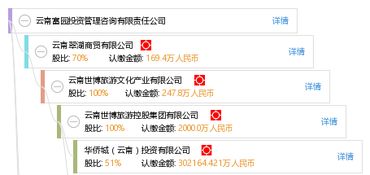 云南富園投資管理咨詢有限責任公司 專業(yè)投資管理與咨詢服務解析