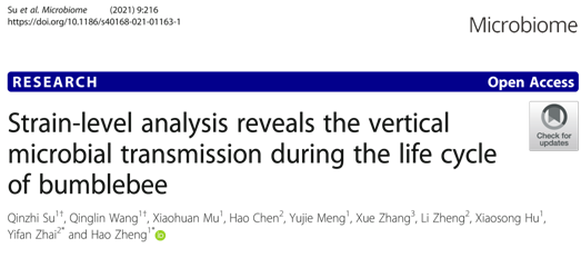 山東省農業科學院自然科學研究的前沿探索與實踐